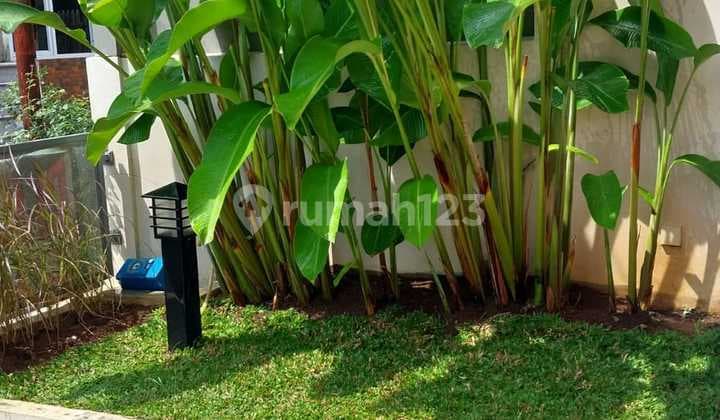 New Strategic and Move-In Ready House in Katulampa Bogor