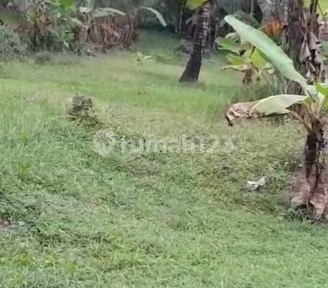 Ready-to-Build Land in Tabanan