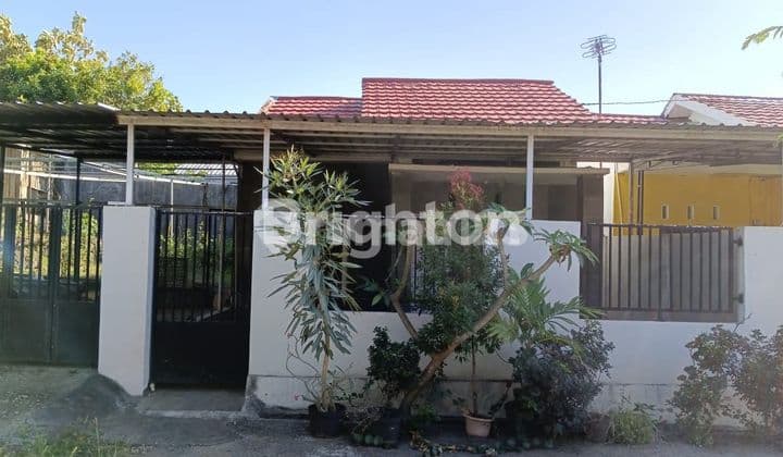 Rumah Dijual Murah Di Perumahan Flobamor Hills Kupang