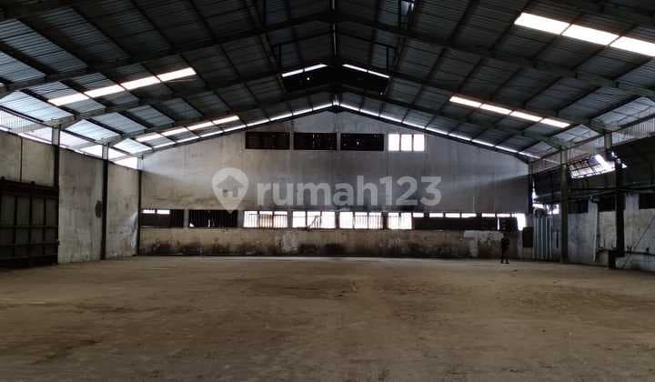 Di Sewakan Segera Gudang Siap Pakai Di Gudang Rawa Buaya, Rawa Buaya 3500 M² Unfurnished Hgb - Hak Guna Bangun Luas Bangunan 1750meter