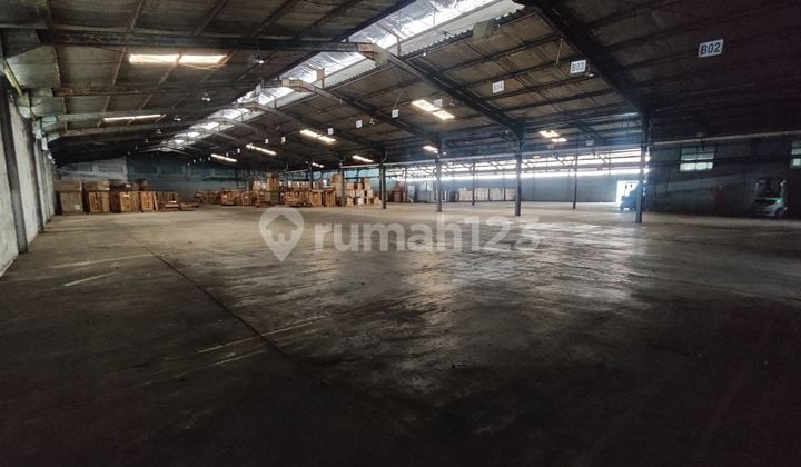 For Rent Warehouse Neat Ready to Use Bitung Warehouse Only 10 Minutes from Bitung Toll Gate Strategic Location Can Accommodate 40Ft Container Neat Near Provincial Road Building Area 9000