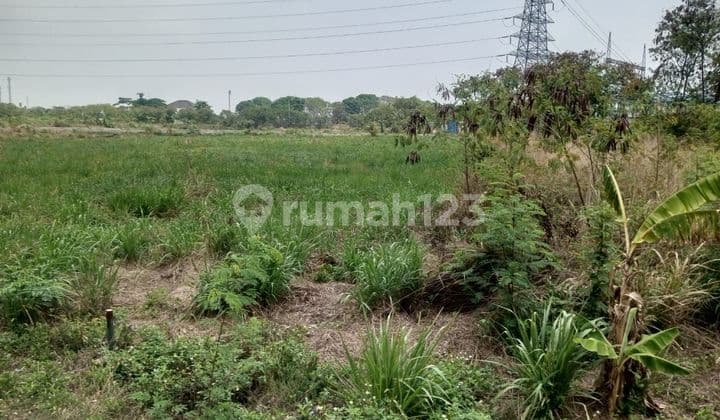 For quick sale: Land in Dadap 3941M² SHM, rare and cheapest item, first come first served. Road access for 40ft containers, industrial permit.