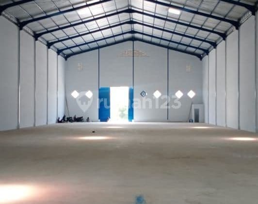 Di Sewakan Gudang Di Pantai Indah Dadap 1500m² Termurah Akses Kontener 40feet Bagus Gudang Baru Jadi