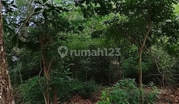 Dua Unit Kavling Strategis Siap Bangun di Bukit Indah Sukajadi Batam