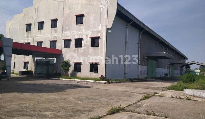 Warehouse For Rent, On Jln Raya Citarik, East Cikarang