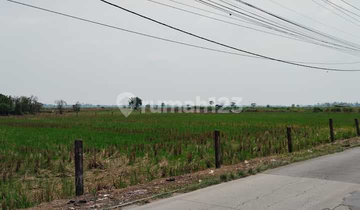Quick Sale of Land in Sukatenang Village, Bekasi Regency