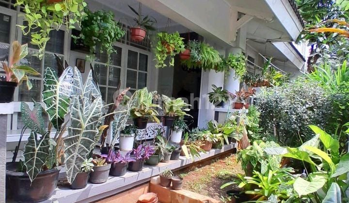 Rumah Siap Huni Bangunan 2 Lt Dengan Tanah Luas Di Bintaro Sektor 9