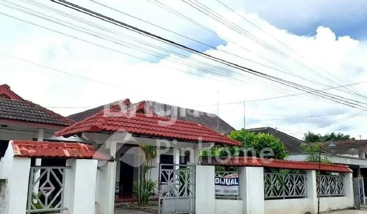 RUMAH KALASAN HALAMAN LUAS