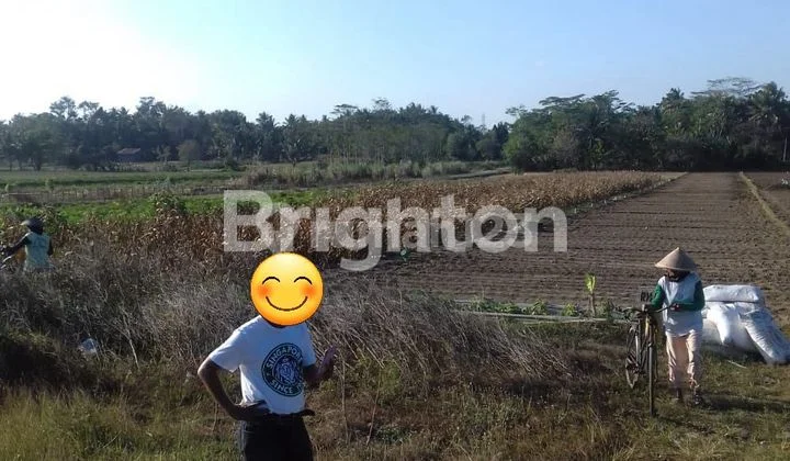 TANAH PEKARANGAN & SAWAH TANAH PEKARANGAN & SAWAH