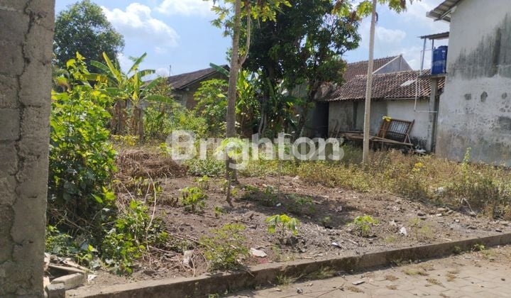TANAH PEKARANGAN UNTUK HUNIAN, KALITIRTO BERBAH SLEMAN YOGYAKARTA