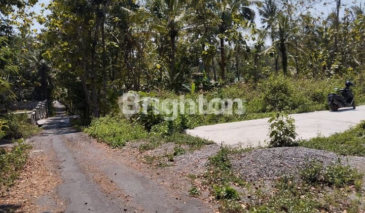 Tanah Pekarangan Harga di Bawah 100 Juta
