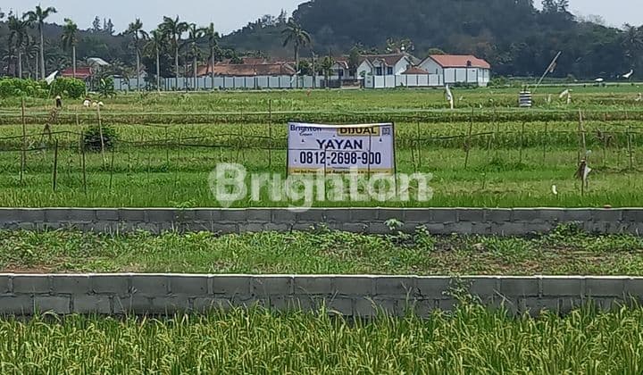 DIJUAL TANAH PEKARANGAN LUAS di BANGUNJIWO – DEKAT UMY!