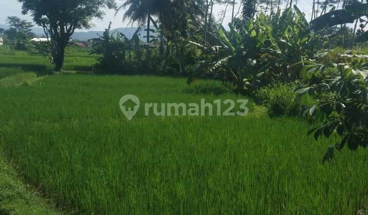 Dijual Tanah Sawah Strategis - Purworejo