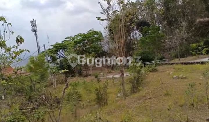 Turun Harga Dari 2 Jt Jadi 1,5 Jt Per M, Sebidang Tanah di Atas Lokasi Wisata Tebing Breksi