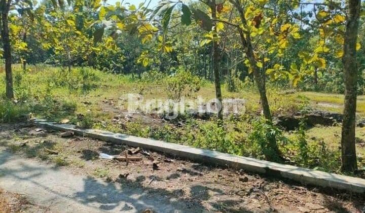TANAH COCOK UNTUK INVESTASI AREA NGAWEN GUNUNGKIDUL YOGYAKARTA