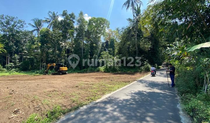 Area Pemda Sleman Cicilan 12x Bunga 0% Shm Pekarangan