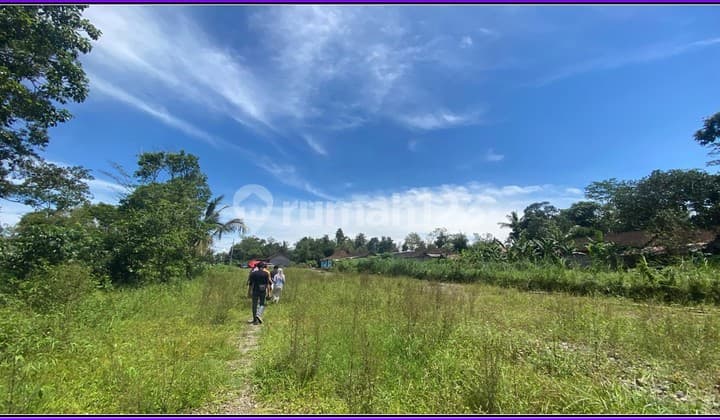 180 Jtan Free BPHTB tanah Jogja 5 Menit Kopi Klothok Sleman