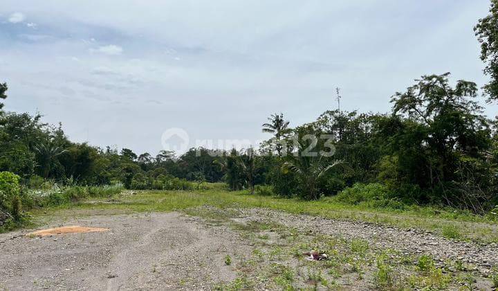 180 Jtan Free BPHTB & AJB 5 Menit Kopi Klothok Kaliurang