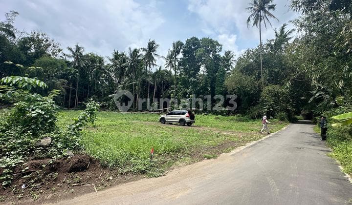200 Meter Gor Tridadi Area Pemda Sleman Free Pajak & Balik Nama