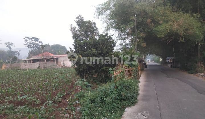 TANAH PINGGIR JALAN RAYA RANCA KOLE SOREANG BANDUNG