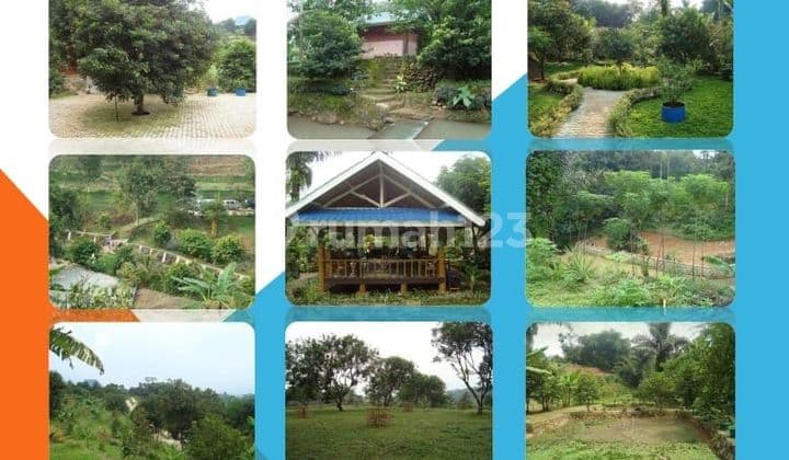 JUAL TANAH BONUS VILLA DI JONGGOL
