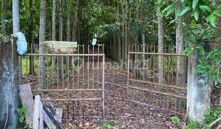 Tanah Produktif Pinggir Jalan Raya Pidie Tangse Aceh