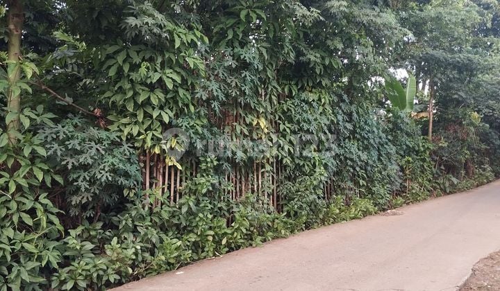 Tanah Dijual Dekat Radio Rodja Cileungsi Akses Jalan Transyogi Tanah Dijual Dekat Radio Rodja Cileungsi Akses Jalan Transyogi
