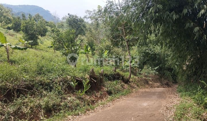 Tanah Dijual Cikalongkulon Akses Mobil Ada Mata Air