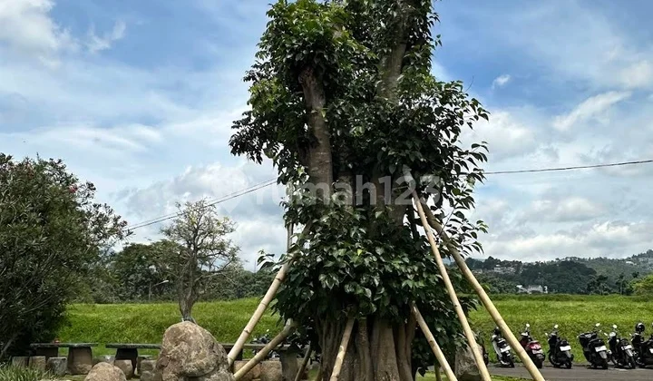 Tanah Padat Siap Bangun di Budi Indah Regency