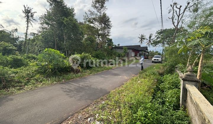 Hanya dengan 200 Jutaan Dapat Tanah Strategis Purwomartani Sleman