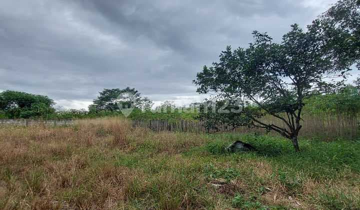 Di Jual Tanah Budi Tajurhalang, Bogor