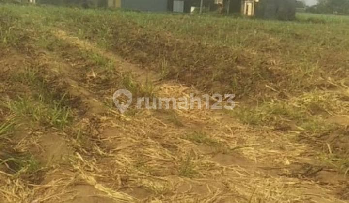 Dijual Tanah Samping Perumahan Gemintang Garden Kediri Jawa Timur