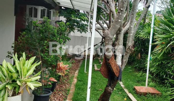 RUMAH BESAR LUAS DAN ASRI