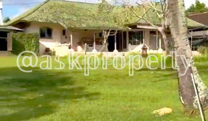Dijual Tanah Lingkungan Pemukiman Tenang Cocok Bangun Cluster atau Komplek Villa Kuwum Kerobokan Bali