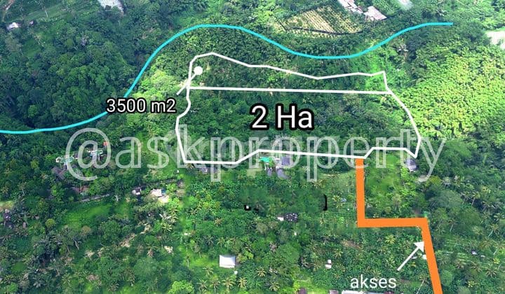 Dijual Cepat Murah Tanah Bangun Hotel Bintang 5 Payangan Ubud Bali