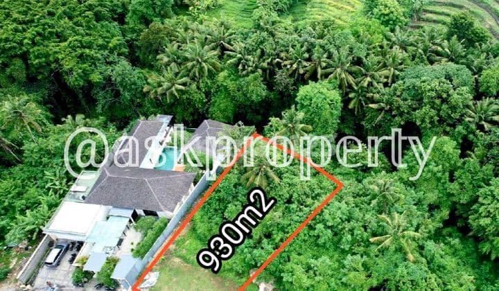 Dijual Tanah Pinggir Sungai Besar View Sawah Pererenan Bali