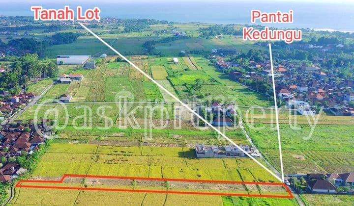 DIJUAL TANAH MURAH VIEW SAWAH DEKAT BRACH LOVE/PANTAI KEDUNGU TABANAN BALI