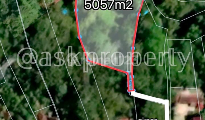 For Sale Large Riverside Land with Ubud Vibe Contour in Buwit Tabanan Bali