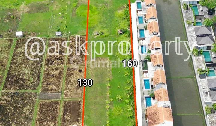 Dijual Tanah Cocok Bangun Komplek Villa Pribadi/komerasial Batu Belig Petitenget Bali