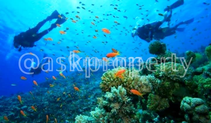 Land For Sale On The Beachfront East Side Of Gili Meno Lombok One Of The Beast Snorkeling Spot - Freehold