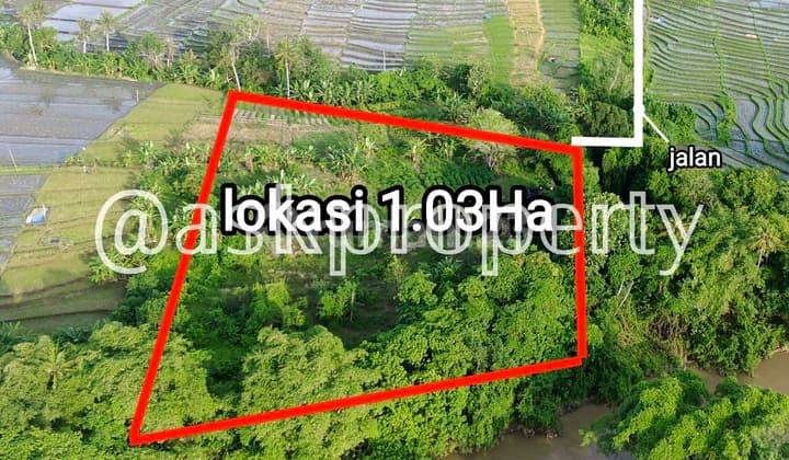 Dijual Tanah Pinggir Sungai Besar Cocok Bangun Cluster Villa Dekat Pantai Cemagi Bali