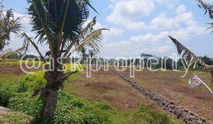 Dijual Tanah View Laut Lantai 2 Area Sawah Dekat Pantai Kedungu Tabanan Bali