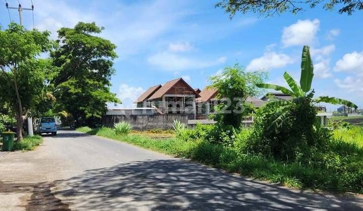 Main Road Land at Munggu Beach - Seseh, Mengwi - Bali