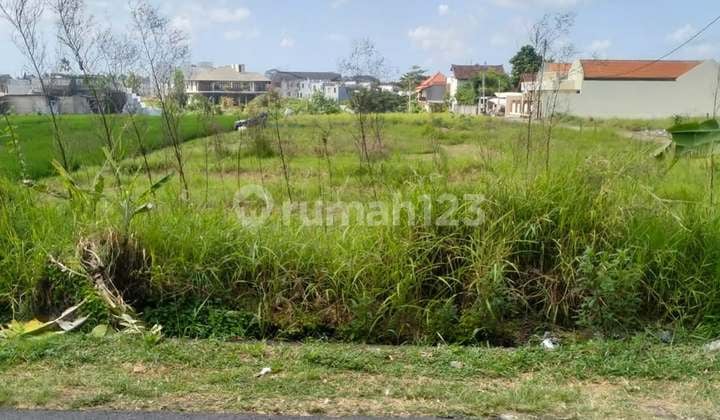 Lahan Premium Di Jalan Utama Pantai Mengening, Cemagi - Bali