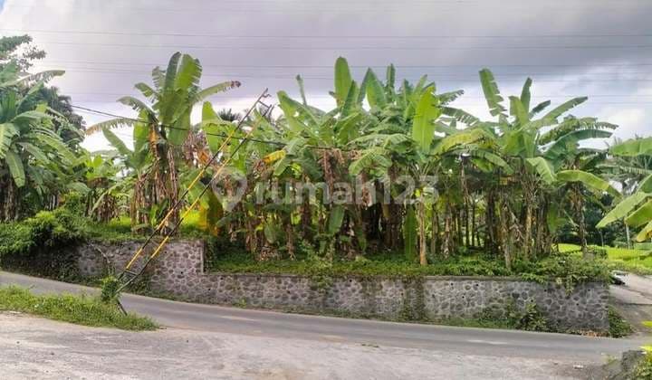 Lahan View Sawah Di Singapadu, Gianyar- Bali