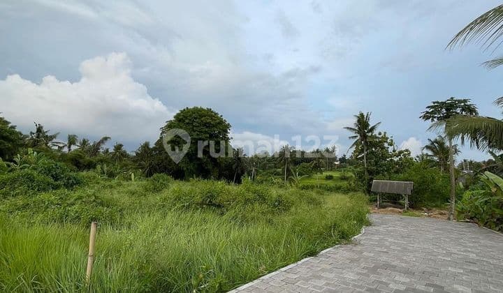 VERY NICE LAND AND RIVER LOSSES IN KENGETAN, UBUD - BALI