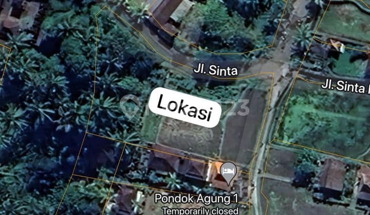 LAHAN DI KAWASAN VILLA & HOTEL DI UBUD, BALI