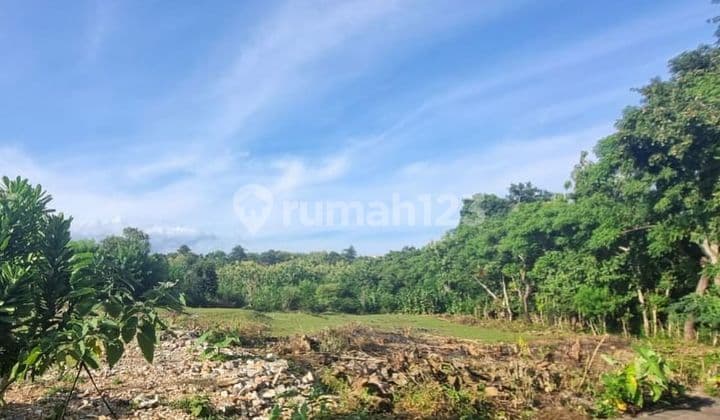 TANAH KAVLING LINGKUNGAN VILLA DI PANTAI MELASTI, UNGASAN BALI