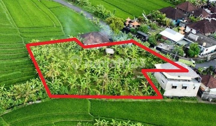 LAHAN DI KAWASAN VILLA TUMBAK BAYUH, CANGGU - BALI