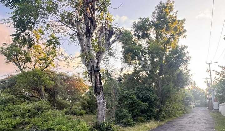 Land in the Villa Gedong Sari Area, Nusa Dua - Bali